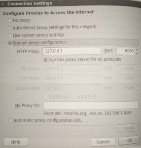 Setting Burp Suite's Configuration details in Firefox.