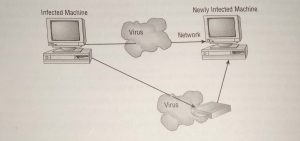 Virus spreading from an infected system using the network or removable media